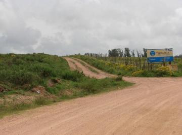 Campo · 180000m² · El Chorro Chacra en Venta 18 Hás Subiendo por Pejerreyes Tm5955