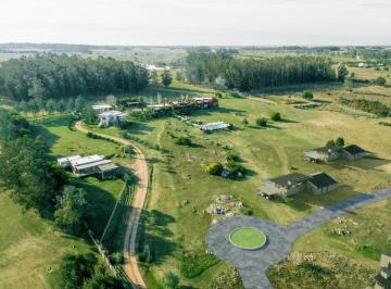 Campo · 8000m² · 8 Ambientes · 2 Cocheras · Manantiales Venta y Alquiler Chacra Pueblo Coyote Tm 51328