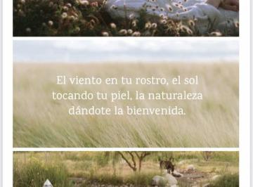 Campo · 50000ha · La Toscana - Ultimas Chacras en Venta - Tm9348