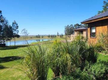 Campo · 69ha · Alquiler - Estancia Santa Cruz Polo - Loft Pauli 1