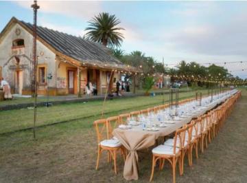 Departamento · Campo en Venta de 55 Has en Garzón - Tm