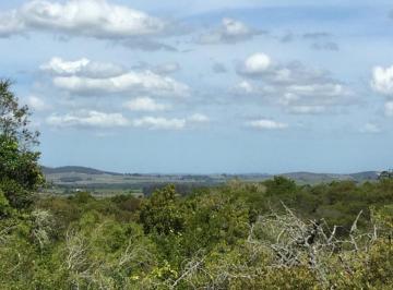 Campo · 220000ha · Chacra en Venta Pueblo Eden - Tm