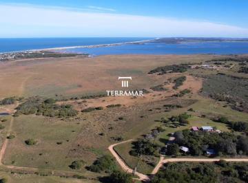 Campo · 244000ha · Chacra en Medellín del Mar de 24,4 Hectáreas - Tm