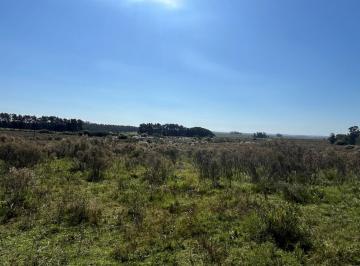 Campo · 124000ha · 12.4 Hectáreas Pasando Ruta 9 / Padrones 2190 y 23.501