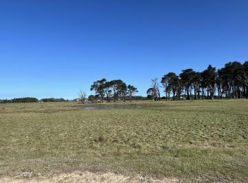 Campo · 59000ha · 5,9 Ha La Rinconada P. 22818
