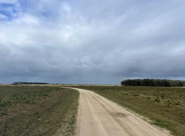 Campo · 51000ha · La Rinconada N°68 con 5.1 Ha - Tm