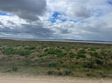 Vista desde la chacra a la laguna · La Rinconada N°85 de 5.5 Ha - Tm