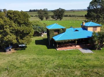 Campo · Campo en Pueblo Eden 20 Ha Completas - Tm