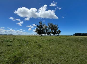 Campo · 59000ha · La Rinconada 5 Hectáreas P.22819