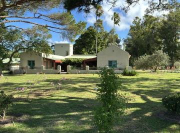 Campo · 73m² · Campo en Venta en Jose Ignacio con 73,6 Ha por Camino Al Anastasio - Tm