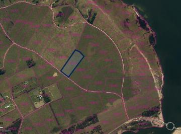 Campo · 51000ha · Chacra en Venta en La Rinconada - Tm
