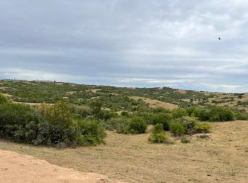 Campo · 150000ha · Chacras en Eco Chacras Tm