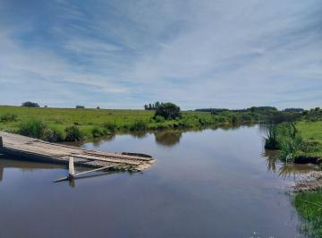 Campo · 70ha · Campo 70 Ha a Minutos del Mar y Jose Ignacio - Tm