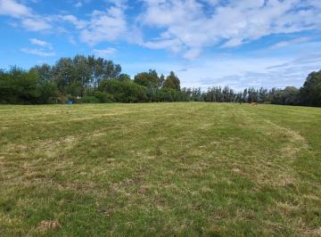 Campo · 31000ha · Chacra de 3 Ha Cerca de Narbona en Venta - Tm