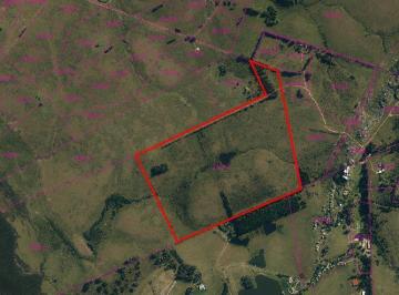 Campo · 6300000ha · Campo de 63 Ha Lindero a Fasano Las Piedras