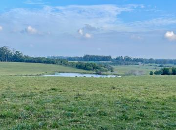 Campo · 8200000m² · Campo de 82,9 Ha Lindero a Fasano Las Piedras