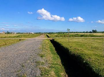 Terreno · 300m² · Venta Lotes Sicardi con Escritura