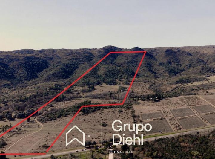 Terreno · 56ha
