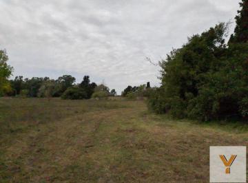 Terreno · 10575m² · Terreno en Venta - 10.575 Ms2 - Berisso