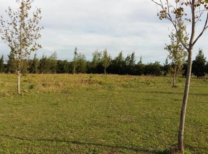 Terreno · 2275m²