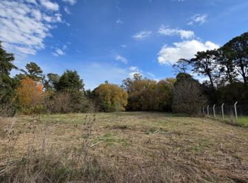 Terreno · 3187m² · Ldo. Venta Terreno Arbolado 3187 m² El Remanso Exaltación de La Cruz