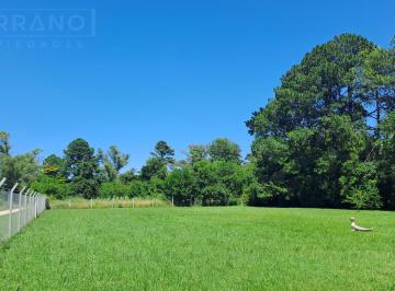 Terreno · 3183m² · Ldo Venta Lote 3183 m² Subdividible con Mejoras. El Remanso