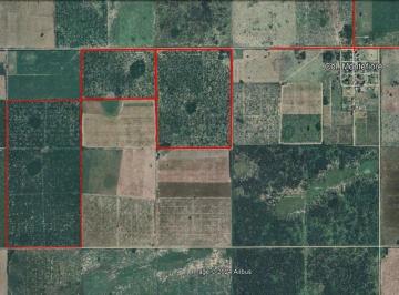 Campo · 225ha · 225 Ha Campo Agrcola - Ganadero en Montefiore