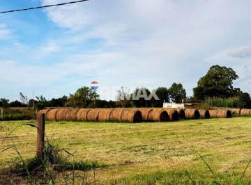 Campo · 6ha · Venta 6 Has en Recreo - Ideal Inversión con Renta