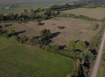 Campo · 53187m² · Campo en Venta - 53.187 m² - Colonia Suiza, Baradero