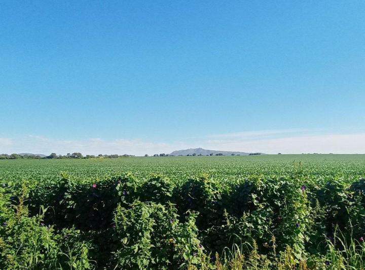 Terreno · 477000m²