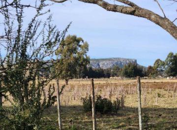 Campo · 345ha · Venta Campo 8ha Establecimiento Pozo Agua, Minas