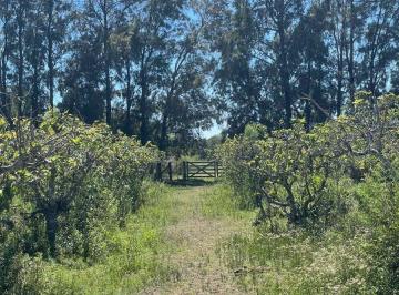 Terreno · 42959m² · Venta de Lote/terreno en Baradero