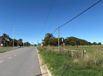 Campo · 14ha · 14 Has Sobre Ruta 1 y Calle 209
