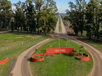Terreno · 1000m² · Venta Lote 1000 m - B Las Casuarinas - Gral Rodriguez