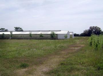 Quinta vacacional · 54m² · 2 Dormitorios · 1 Cochera · Campo en Venta San Andres de Giles