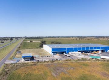Depósito · 4300m² · Alquiler Nave Industrial de 4.300 m² - Zarate