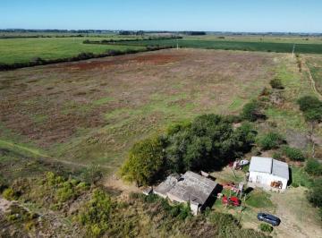 Campo · 14ha · Venta 14 Ha Productivas Mas Dos Viviendas