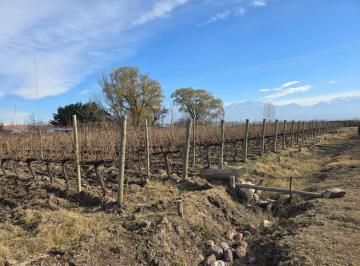 Campo · 930ha · Finca y Complejo Turístico en Venta en Tunuyán