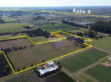 Campo · 800ha · Venta Campo + Chacra 4.5 Ha Las Piedras Canelones