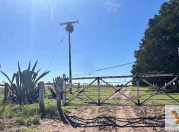 Campo · 5210000m² · Campo en Venta - 521 Hectáreas - La Pampa