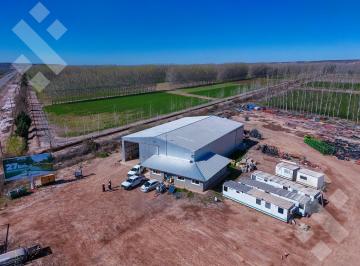 Bodega-Galpón · 600m² · 2 Ambientes · Alquiler de Galpón con Oficinas en Tratayen - Añelo