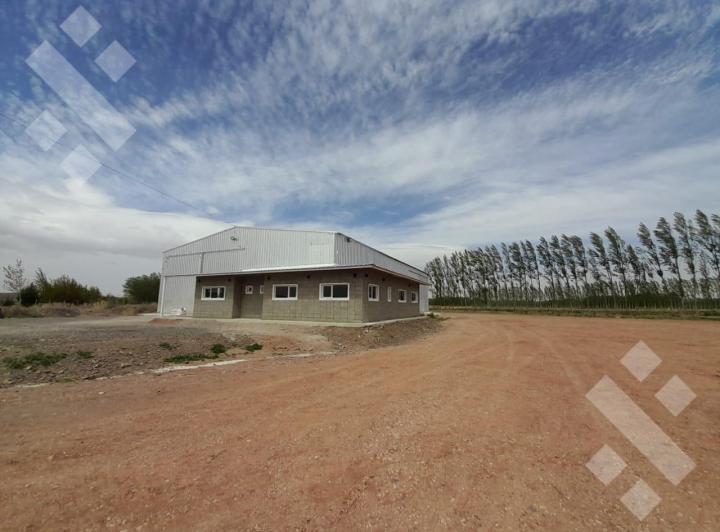 Bodega-Galpón · 600m² · 2 Ambientes