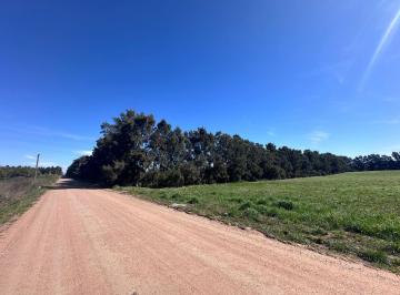Campo · 3ha · Venta de Campo de 2.82 Hectáreas Camino Garcés