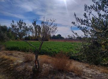 Campo · 19555ha · Terreno de 2 Has en General Acha y Calle 14.pocito