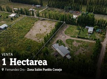 Campo · 1ha · Chacra 1 Hectarea en Pueblo Conejo - Fernandez Oro