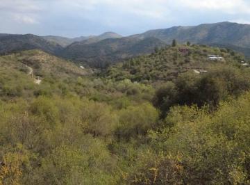Terreno · 12477m² · Venta Lote en La Paisanita