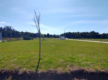Puede ver el fondo libre: hasta el bosque de fondo · Terreno 870 m², en La Mejor Ubicación del Barrio Privado