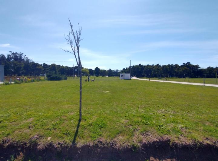 Terreno · 870m²