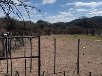 Campo , San Pedro Norte · Campo Ganadero en Venta en San Pedro Norte – Excelente Agua y Gran Capacidad Productiva