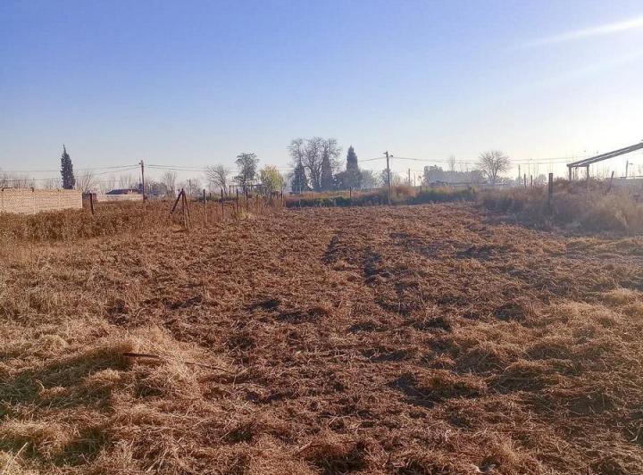 Terreno · 1000m²